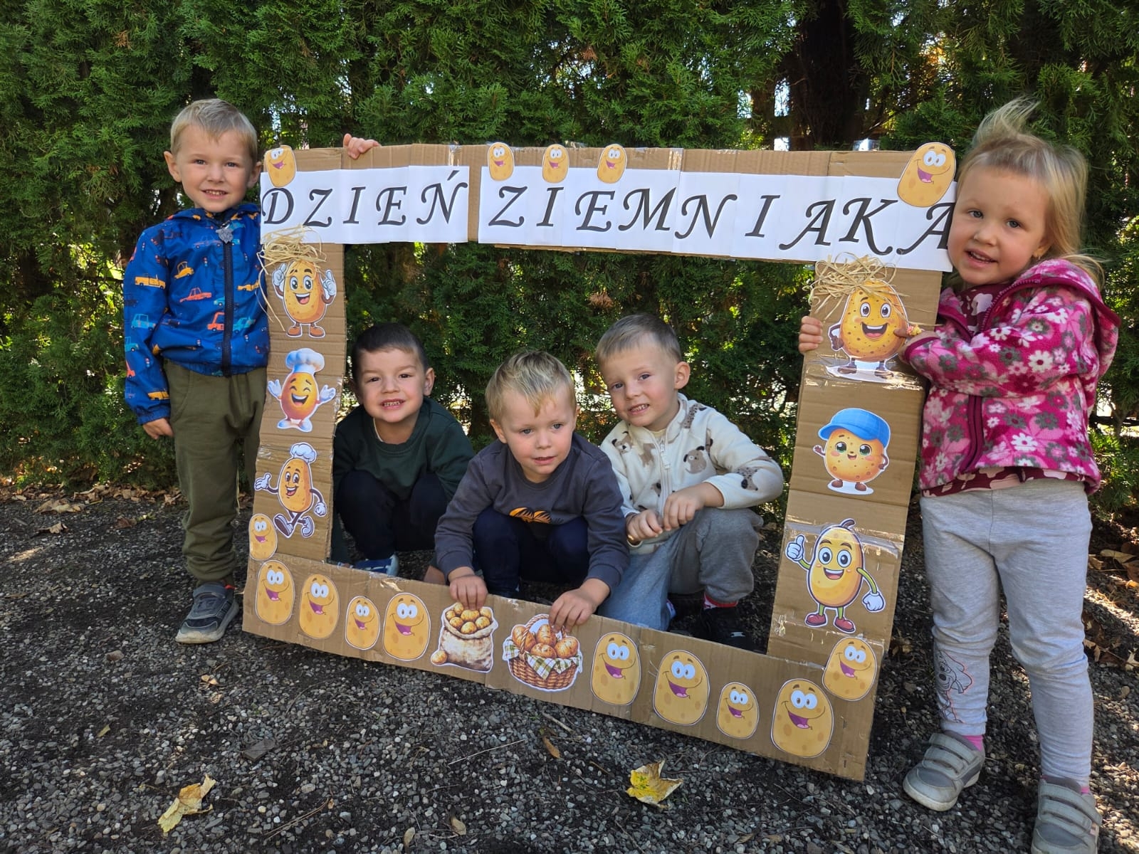Image Dzień Ziemniaka